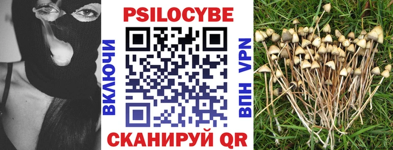 наркота  дарк нет Telegram  Псилоцибиновые грибы Psilocybe  Дагестанские Огни 