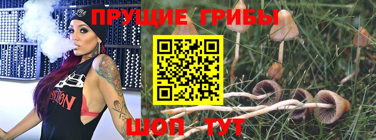 Галлюциногенные грибы GOLDEN TEACHER Дагестанские Огни