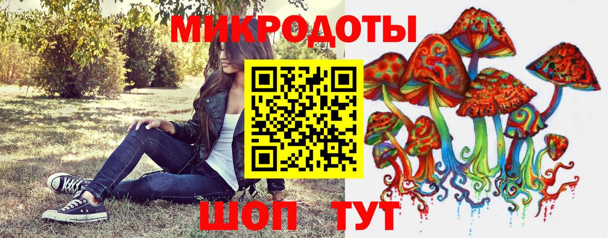 Галлюциногенные грибы Psilocybine cubensis  Дагестанские Огни 